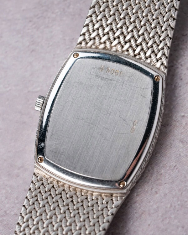Audemars Piguet Blue Dial Close up Caseback