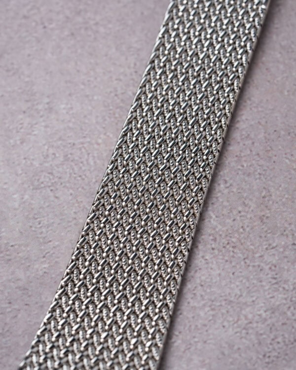 Audemars Piguet Blue Dial Close up Mesh Bracelet 2