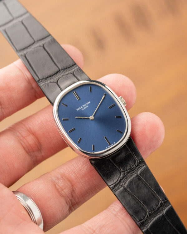 Patek Philippe WG 3848 Papers